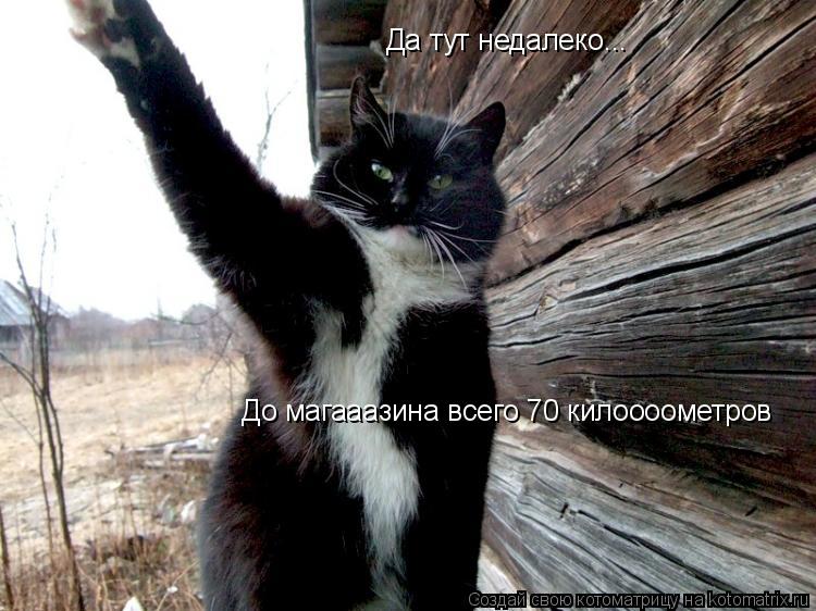 Да тут недалеко... До магааазина всего 70 килоооометров... Котоматрица: Да тут недалеко... До магааазина всего 70 килоооометров