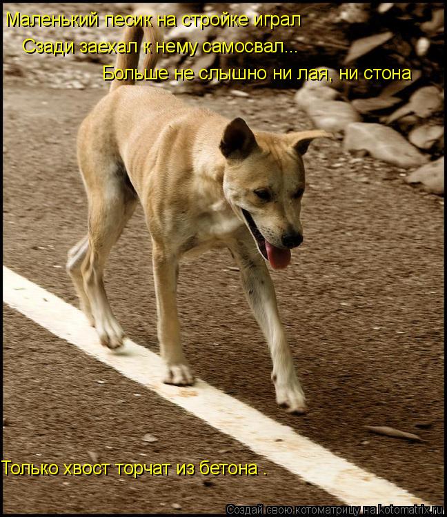 Больше не слышно ни лая, ни стона Только хвост торчат из бетона . Маленький песик на стройке играл ... Котоматрица: Больше не слышно ни лая, ни стона Только хвост торчат из бетона . Маленький песик на стройке играл Сзади заехал к нему самосвал...