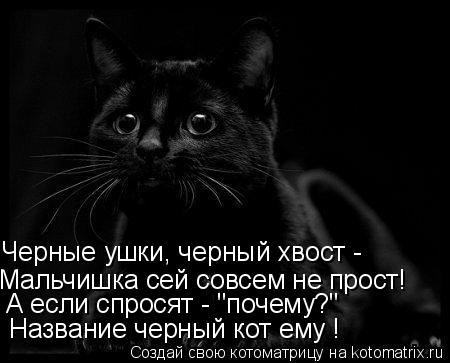 Черные ушки, черный хвост - Мальчишка сей совсем не прост! А если спросят - "почему?" Название чер... Котоматрица: Черные ушки, черный хвост - Мальчишка сей совсем не прост! А если спросят - "почему?" Название черный кот ему !