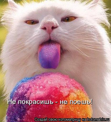 Котоматрица: Не покрасишь - не поешь!