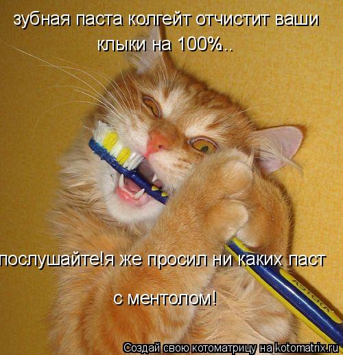зубная паста колгейт отчистит ваши клыки на 100% ... послушайте!я же просил ни каких паст с ментолом!... Котоматрица: зубная паста колгейт отчистит ваши клыки на 100% ... послушайте!я же просил ни каких паст с ментолом!