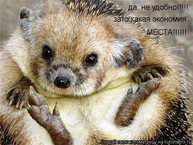 да, не удобно!!!!! зато какая экономия МЕСТА!!!!!!... Котоматрица: да, не удобно!!!!! зато какая экономия МЕСТА!!!!!!