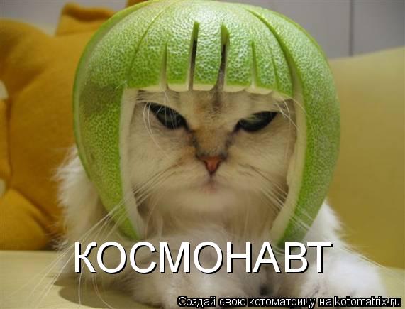 КОСМОНАВТ... Котоматрица: КОСМОНАВТ