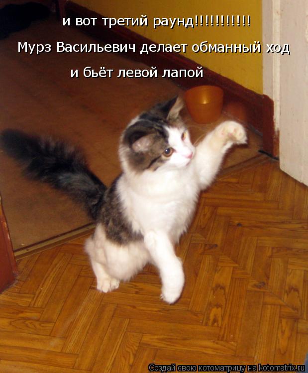 и вот третий раунд!!!!!!!!!!! Мурз Васильевич делает обманный ход и бьёт левой лапой... Котоматрица: и вот третий раунд!!!!!!!!!!! Мурз Васильевич делает обманный ход и бьёт левой лапой