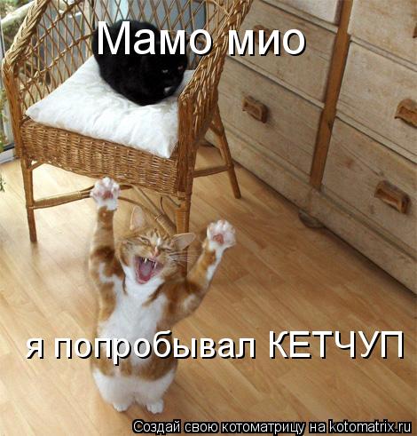 Мамо мио я попробывал КЕТЧУП... Котоматрица: Мамо мио я попробывал КЕТЧУП