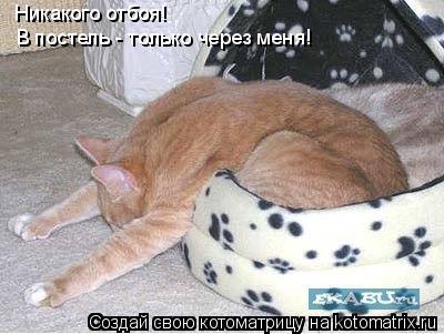 Котоматрица: Никакого отбоя! В постель - только через меня!  Никакого отбоя! В постель - только через меня!