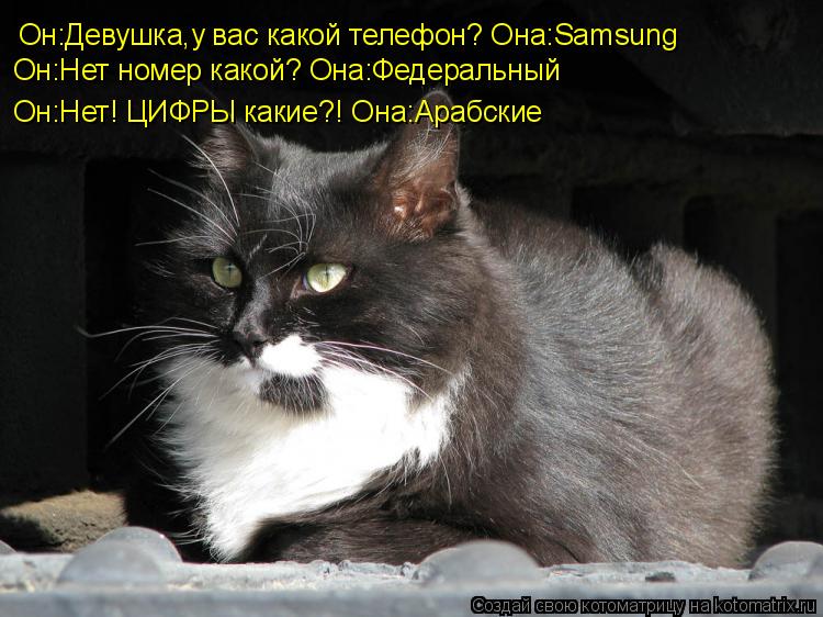 Он:Девушка,у вас какой телефон? Она:Samsung Он:Нет номер какой? Она:Федеральный Он:Нет! ЦИФРЫ какие?!... Котоматрица: Он:Девушка,у вас какой телефон? Она:Samsung Он:Нет номер какой? Она:Федеральный Он:Нет! ЦИФРЫ какие?! Она:Арабские
