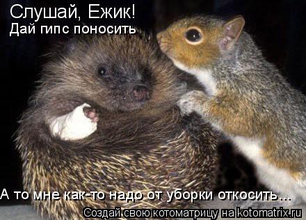 Слушай, Ежик! Дай гипс поносить А то мне как-то надо от уборки откосить...... Котоматрица: Слушай, Ежик! Дай гипс поносить А то мне как-то надо от уборки откосить...