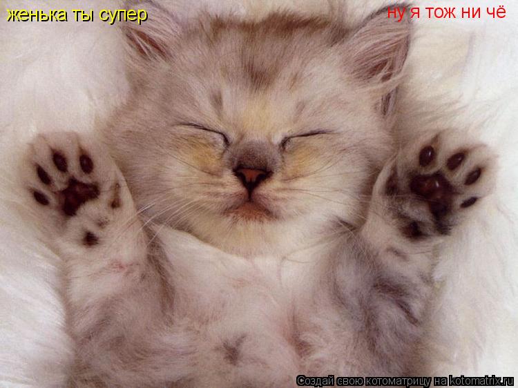 Котоматрица: женька ты супер  ну я тож ни чё