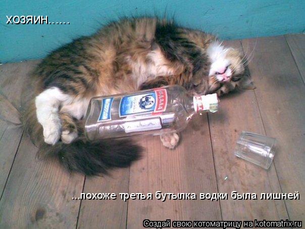 хозяин...... ...похоже третья бутылка водки была лишней... Котоматрица: хозяин...... ...похоже третья бутылка водки была лишней
