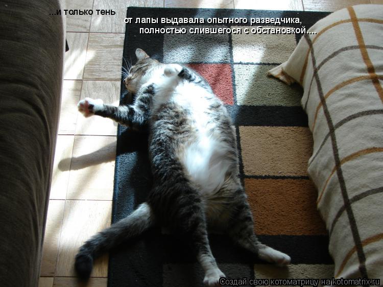 ...и только тень от лапы выдавала опытного разведчика, полностью слившегося с обстановкой....... Котоматрица: ...и только тень от лапы выдавала опытного разведчика, полностью слившегося с обстановкой....