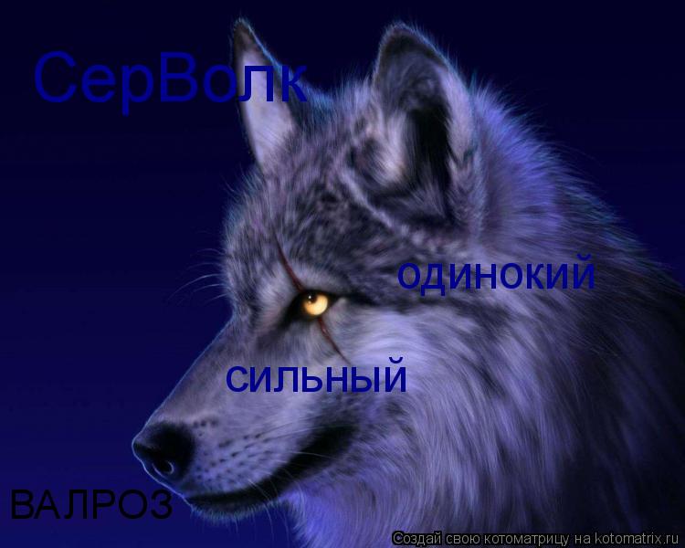 Котоматрица: СерВолк  одинокий  сильный ВАЛРОЗ