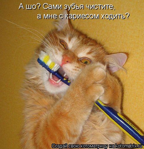 А шо? Сами зубья чистите, а мне с кариесом ходить?... Котоматрица: А шо? Сами зубья чистите, а мне с кариесом ходить?
