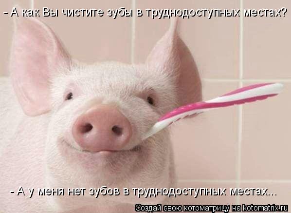 Котоматрица: - А как Вы чистите зубы в труднодоступных местах? - А у меня нет зубов в труднодоступных местах...