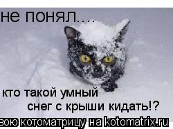 не понял.... кто такой умный снег с крыши кидать!?... Котоматрица: не понял.... кто такой умный снег с крыши кидать!?