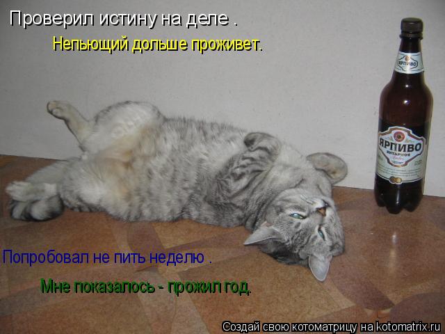 Проверил истину на деле – Непьющий дольше проживет. Попробовал не пить неделю – Мне показалось - пр... Котоматрица: Проверил истину на деле – Непьющий дольше проживет. Попробовал не пить неделю – Мне показалось - прожил год.