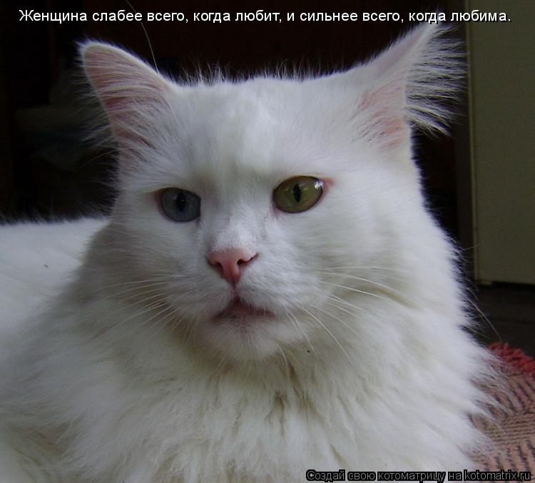 Котоматрица: Женщина слабее всего, когда любит, и сильнее всего, когда любима.