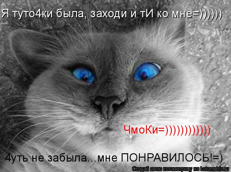 Я туто4ки была, заходи и тИ ко мне=)))))) 4уть не забыла...мне ПОНРАВИЛОСЬ!=) ЧмоКи=))))))))))))... Котоматрица: Я туто4ки была, заходи и тИ ко мне=)))))) 4уть не забыла...мне ПОНРАВИЛОСЬ!=) ЧмоКи=))))))))))))