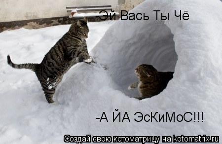 -А ЙА ЭсКиМоС!!! -Эй Вась Ты Чё... Котоматрица: -А ЙА ЭсКиМоС!!! -Эй Вась Ты Чё