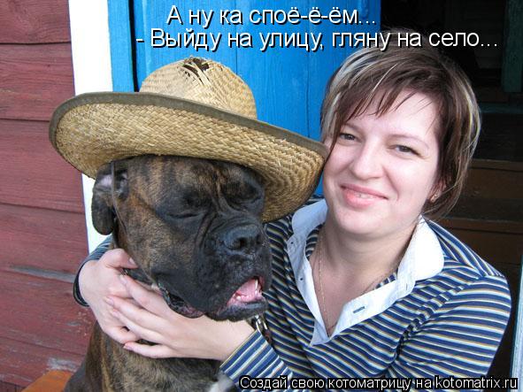 А ну ка споё-ё-ём... - Выйду на улицу, гляну на село...... Котоматрица: А ну ка споё-ё-ём... - Выйду на улицу, гляну на село...