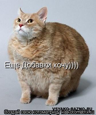 Ещё Добавки хочу))))... Котоматрица: Ещё Добавки хочу))))