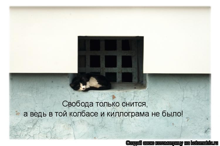Свобода только снится, а ведь в той колбасе и киллограма не было!... Котоматрица: Свобода только снится, а ведь в той колбасе и киллограма не было!
