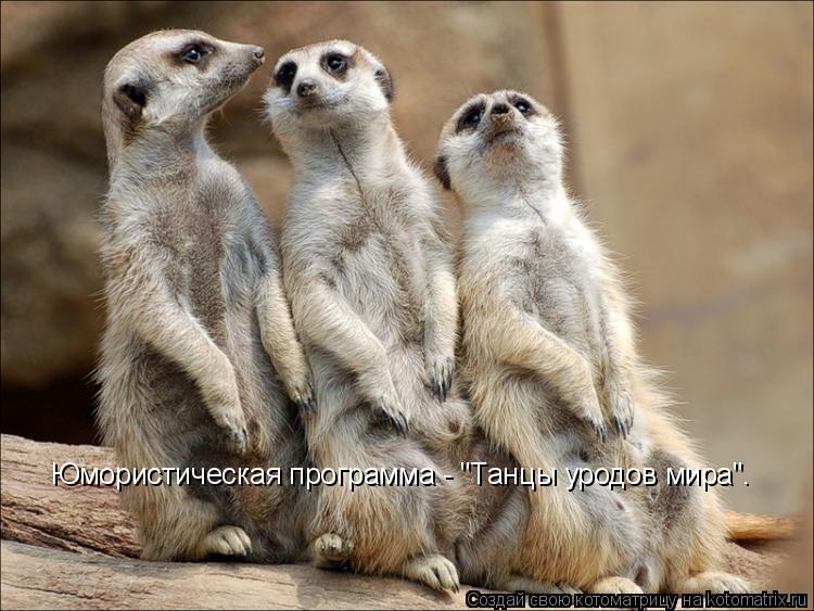 Юмористическая программа - "Танцы уродов мира".... Котоматрица: Юмористическая программа - "Танцы уродов мира".