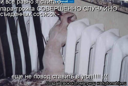 пара-тройка СОВЕРШЕННО СЛУЧАЙНО и все равно я считаю, съеденных сосисок - еще не повод ставить в уго... Котоматрица: пара-тройка СОВЕРШЕННО СЛУЧАЙНО и все равно я считаю, съеденных сосисок - еще не повод ставить в угол!!!! :((
