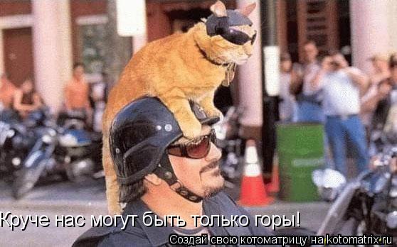 Круче нас могут быть только горы!... Котоматрица: Круче нас могут быть только горы!
