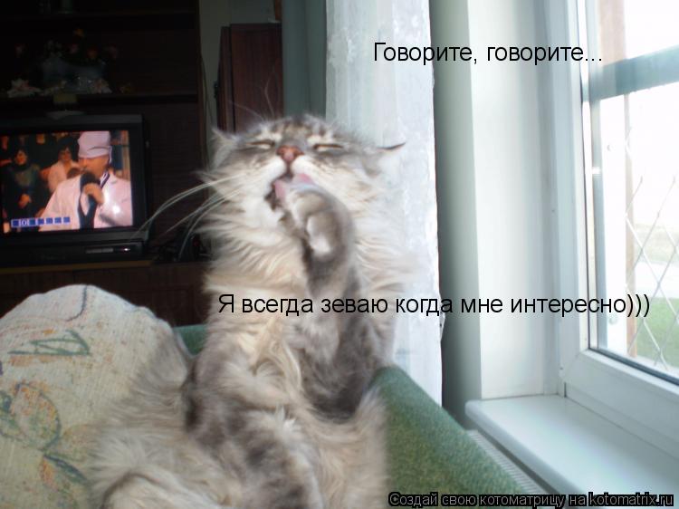 Котоматрица: Говорите, говорите... Я всегда зеваю когда мне интересно)))