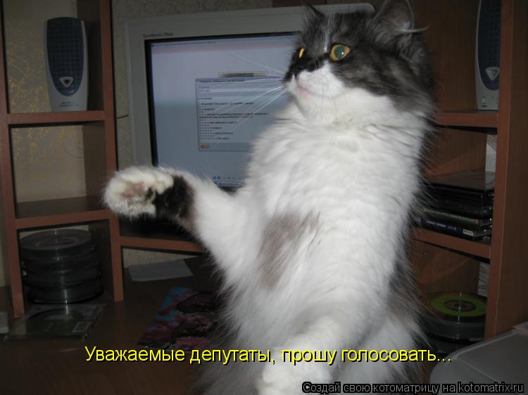Котоматрица: Уважаемые депутаты, прошу голосовать...
