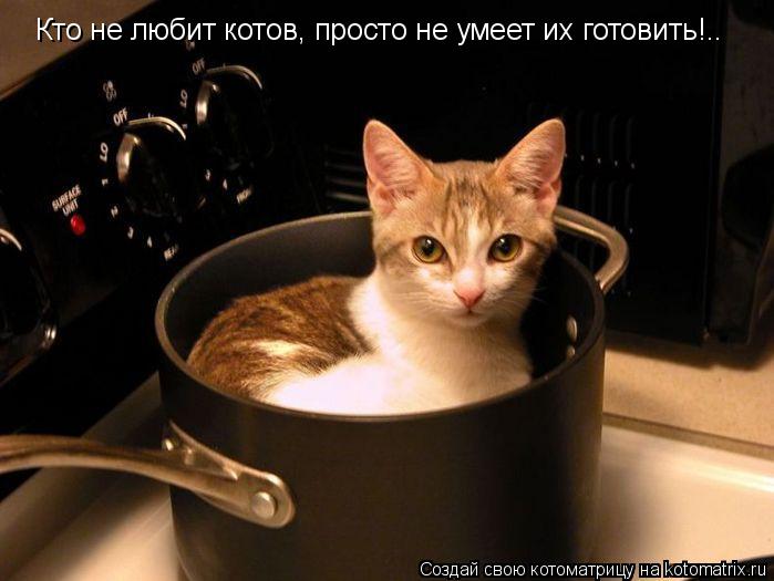 Котоматрица: Кто не любит котов, просто не умеет их готовить!..