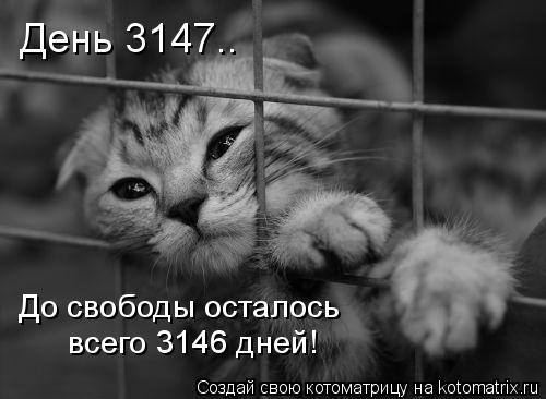 День 3147.. До свободы осталось всего 3146 дней!... Котоматрица: День 3147.. До свободы осталось всего 3146 дней!