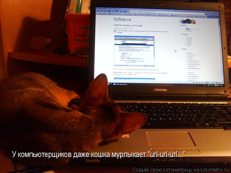 У компьютерщиков даже кошка мурлыкает "url-url-url..."... Котоматрица: У компьютерщиков даже кошка мурлыкает "url-url-url..."