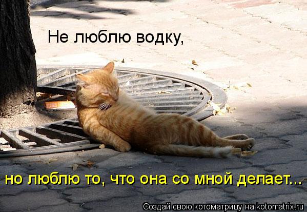 Котоматрица: Не люблю водку,  но люблю то, что она со мной делает...