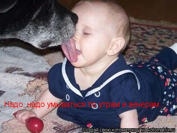 Котоматрица: Надо, надо умываться по утрам и вечерам...