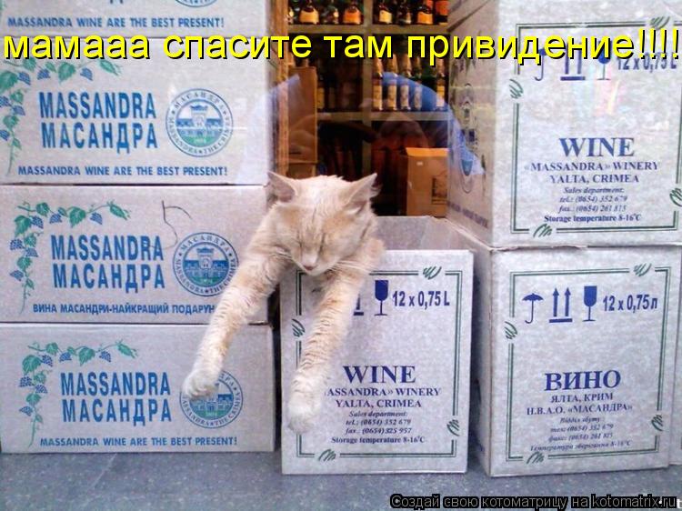 Котоматрица: мамааа спасите там привидение!!!!