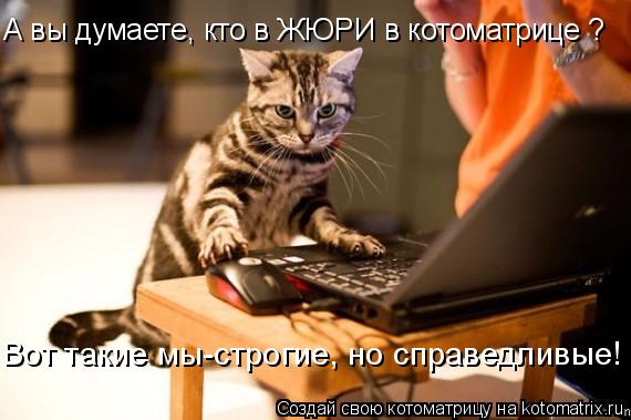 А вы думаете, кто в ЖЮРИ в котоматрице ? Вот такие мы-строгие, но справедливые!... Котоматрица: А вы думаете, кто в ЖЮРИ в котоматрице ? Вот такие мы-строгие, но справедливые!