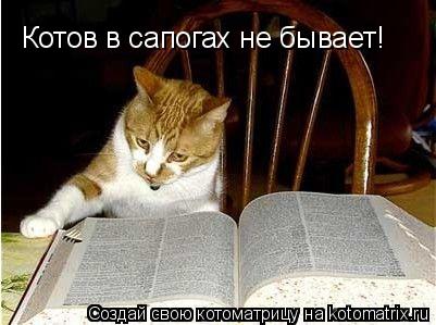 Котов в сапогах не бывает!... Котоматрица: Котов в сапогах не бывает!