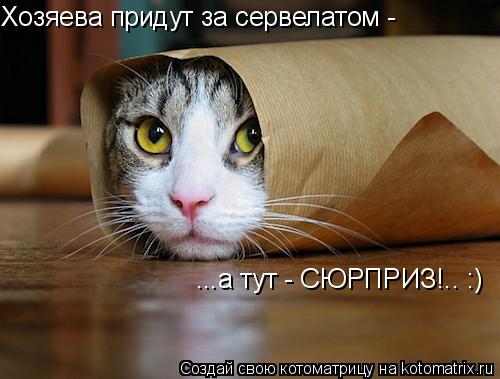 Хозяева придут за сервелатом - ...а тут - СЮРПРИЗ!.. :)... Котоматрица: Хозяева придут за сервелатом - ...а тут - СЮРПРИЗ!.. :)