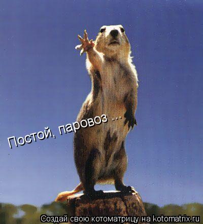 Постой, паровоз ...... Котоматрица: Постой, паровоз ...