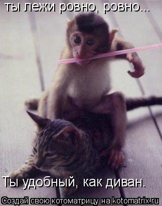 ты лежи ровно, ровно... Ты удобный, как диван.... Котоматрица: ты лежи ровно, ровно... Ты удобный, как диван.