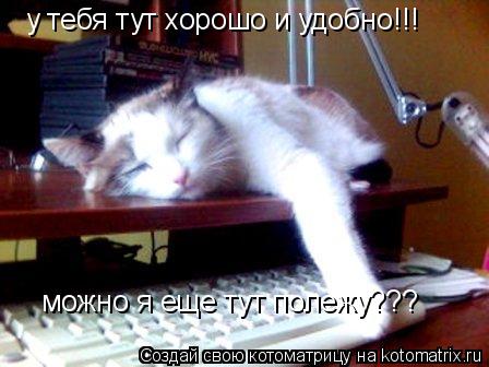 Котоматрица: у тебя тут хорошо и удобно!!! можно я еще тут полежу???