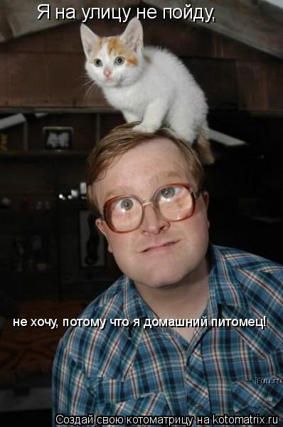 Котоматрица: Я на улицу не пойду,  не хочу, потому что я домашний питомец!