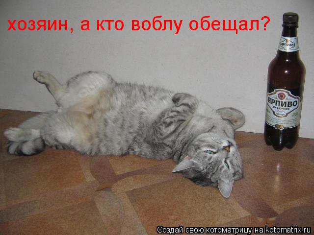 хозяин, а кто воблу обещал?... Котоматрица: хозяин, а кто воблу обещал?