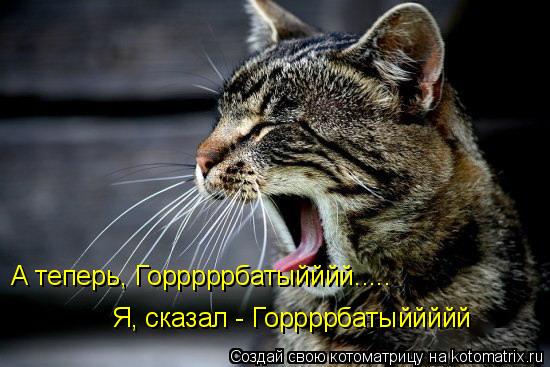 А теперь, Горррррбатыйййй..... Я, сказал - Горрррбатыййййй... Котоматрица: А теперь, Горррррбатыйййй..... Я, сказал - Горрррбатыййййй