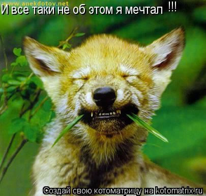 Котоматрица: И все таки не об этом я мечтал !!! !!!