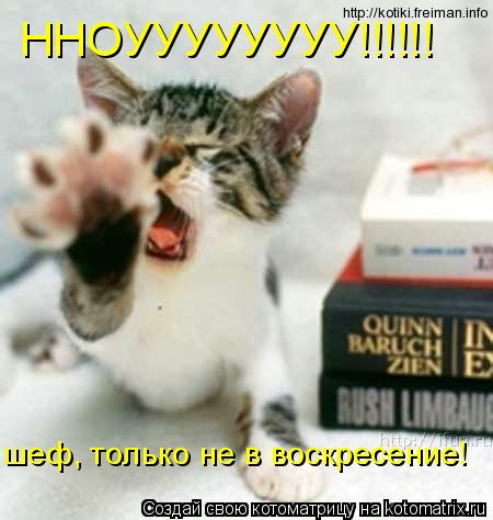 Котоматрица: ННОУУУУУУУУ!!!!!! шеф, только не в воскресение!
