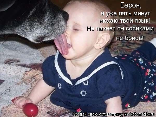 Котоматрица: Барон, я уже пять минут  нюхаю твой язык! Не пахнет он сосиками, не боись!