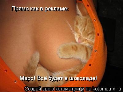 Котоматрица: Прямо как в рекламе: «Марс! Всё будет в шоколаде!»